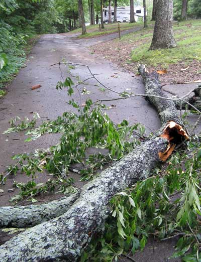 A downed tree blocks our route back to our trailer