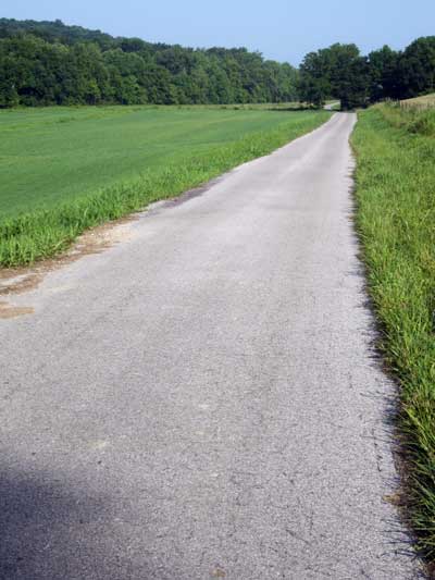 A Cycling dream, single lane, paved road, no traffic.