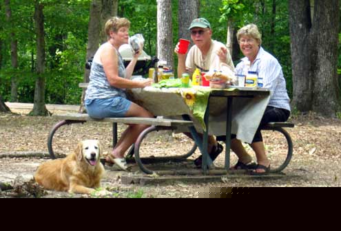 Enjoying lunch at the Sunken Trace picnic area