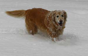 Morgan loves the snow