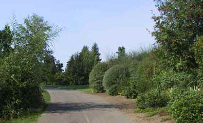 Bear Creek Greenway