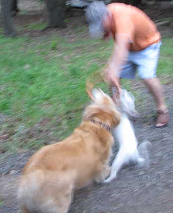 Morgan, River and Jim play tug