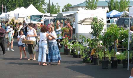 Medford farmer's market