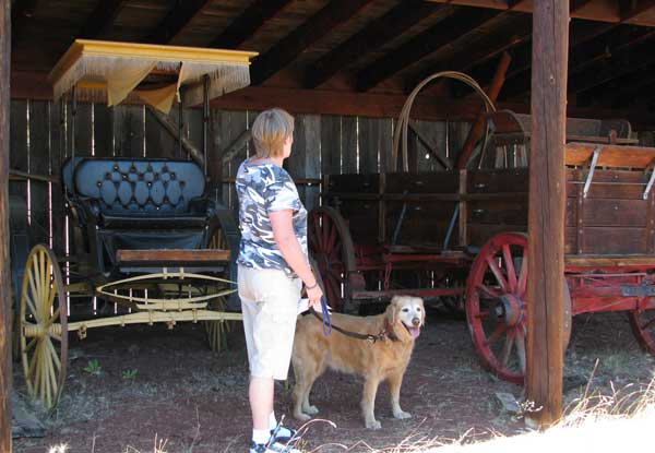 A garage full of carriages