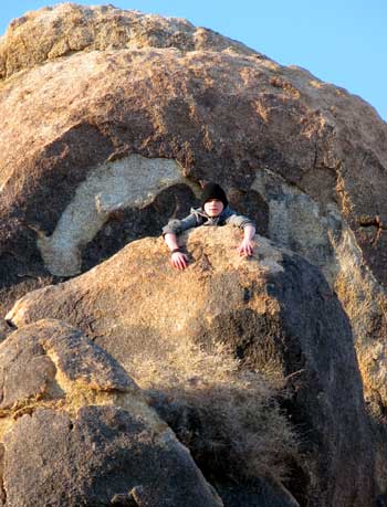 In the mouth of the whale