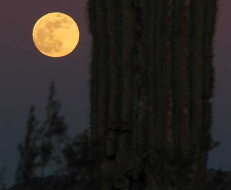 Full moon on the desert