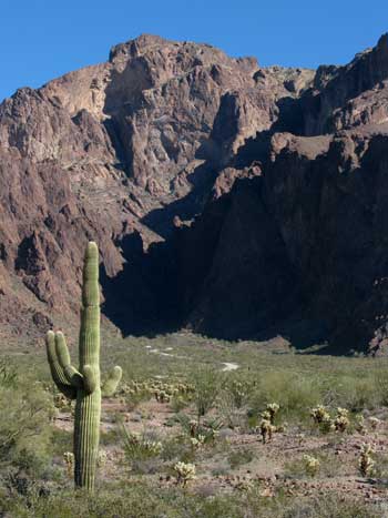 The route to the palm canyon