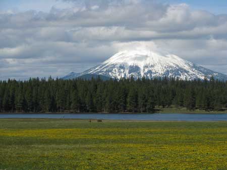 Mt. McLoughlin