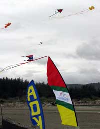 Fun Fly in Crescent City, California