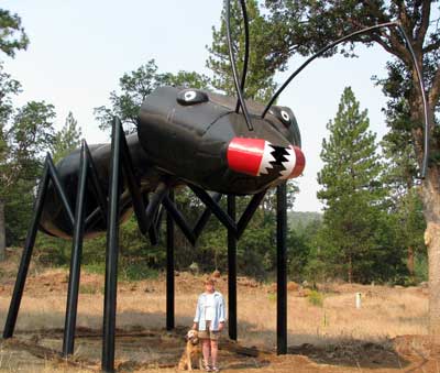 Gwen and Morgan attacked by a giant spider