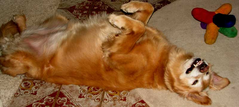 Relaxing at Grandma's house