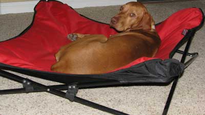 Amber Enjoys Morgan's new bed