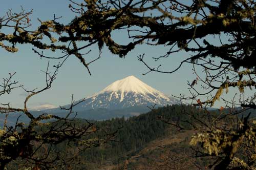 Mt. McLoughlin to the east