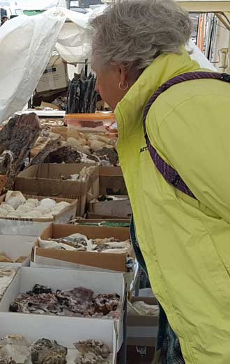 Jeanne checks out a rock display