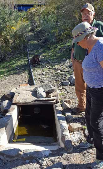 Water trough from wildlife