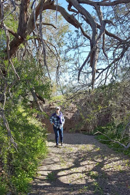 Gwen and I hike to an old camp location