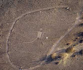 Fisherman Intaglio in Bouse