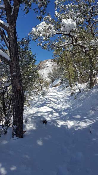 On the trail into the canyon