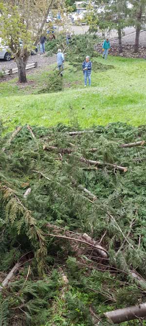 Work crew at Timber Valley