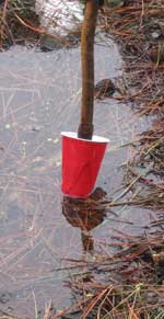 Lake level marker