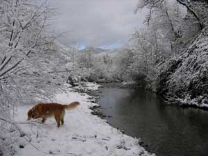 Thompson Creek behind our Cameo