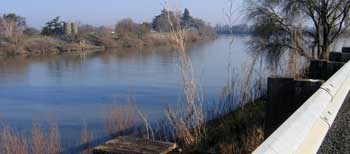 Sacramento River near our camp site.