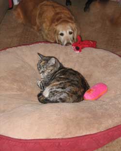 Annie takes over Morgan's bed