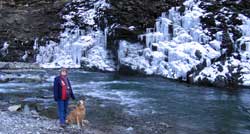 Ice on Carberry Creek