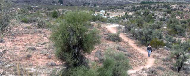 Our trail with the trailer in camp