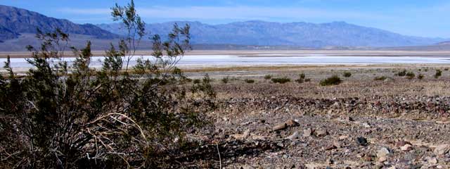 Death Valley from the valley floor