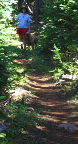 Pacific Crest Trail, good shade cover