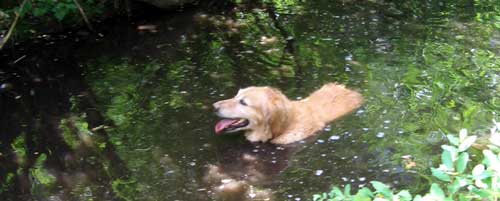 Finding a cooling stream