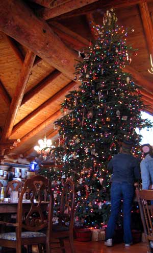 Log Restaurant Interior