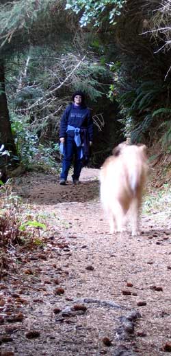 Clatsop Loop Hike