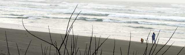 A walk on Beverly Beach