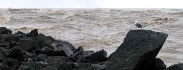 The violent mouth of the Rogue River as it enters the Pacific Ocean, photo taken while standing on the south jetty