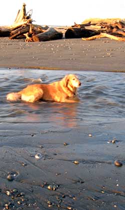 Finding fresh water