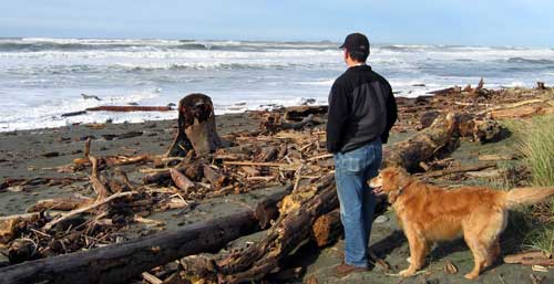 A morning walk on the beach