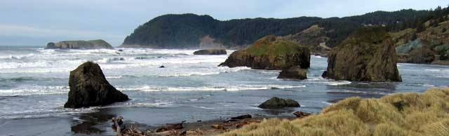 A view north on the Oregon coast