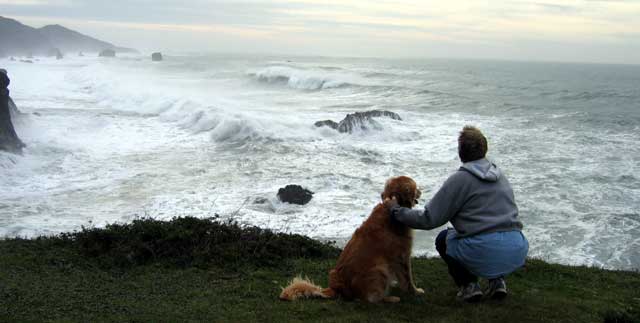 A last view of the ocean