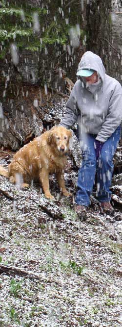 Early campers in the mountains will find a few cold days in the spring. 