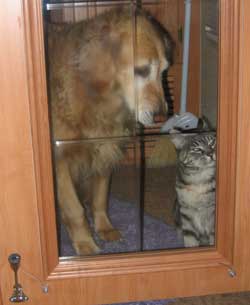 The French door keeps Morgan and Annie out of the bedroom.