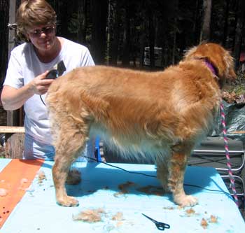 It's easier when she is on the table