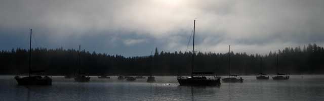 Morning at the marina