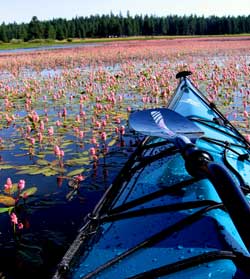 Kayaking on Howard Prairie Lake