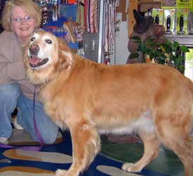 Morgan visits the groomer