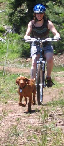 I always like to be in the front, you know what they say, "If you aren't the lead dog, the view never changes".