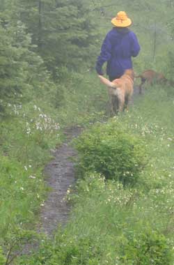 Hiking in the clouds