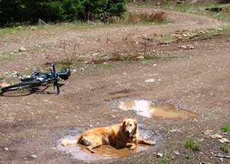 Wonderful mud at BPR05