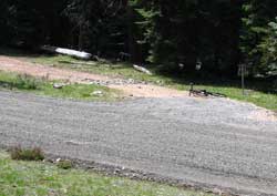 Crossing the gravel road at BPR06